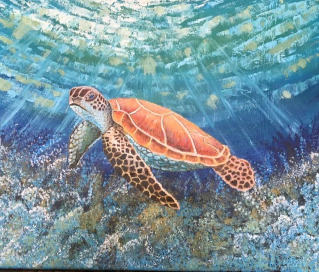 Turtle in the sea