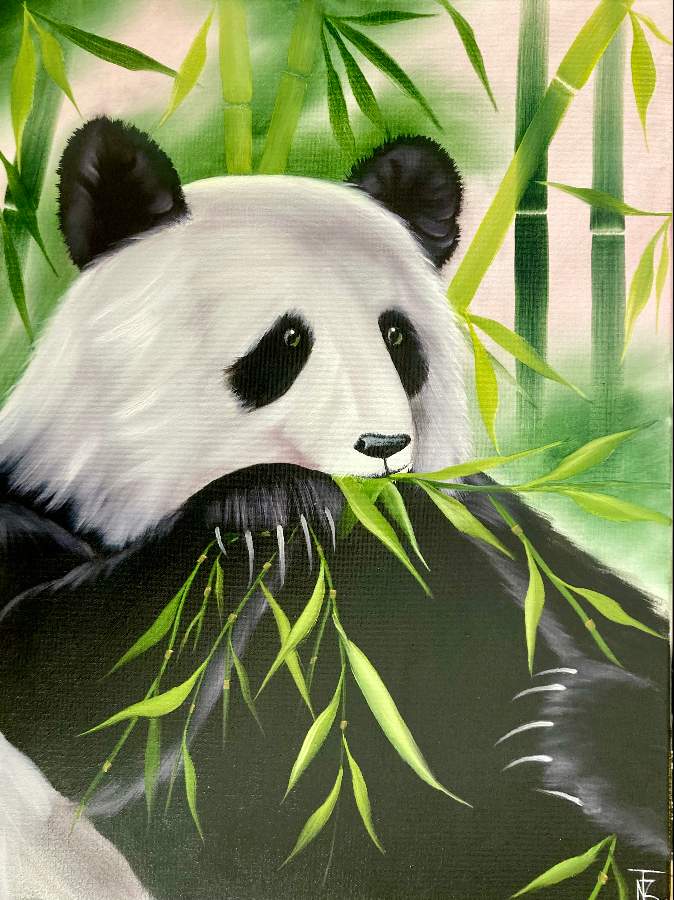 Panda • Bea Cox • BR Wildlife