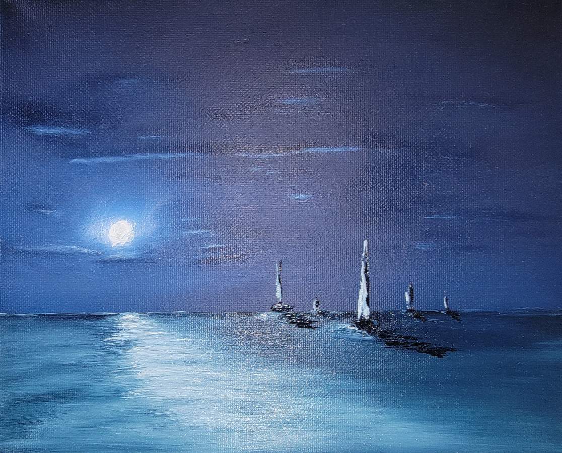 Moonlight Sail