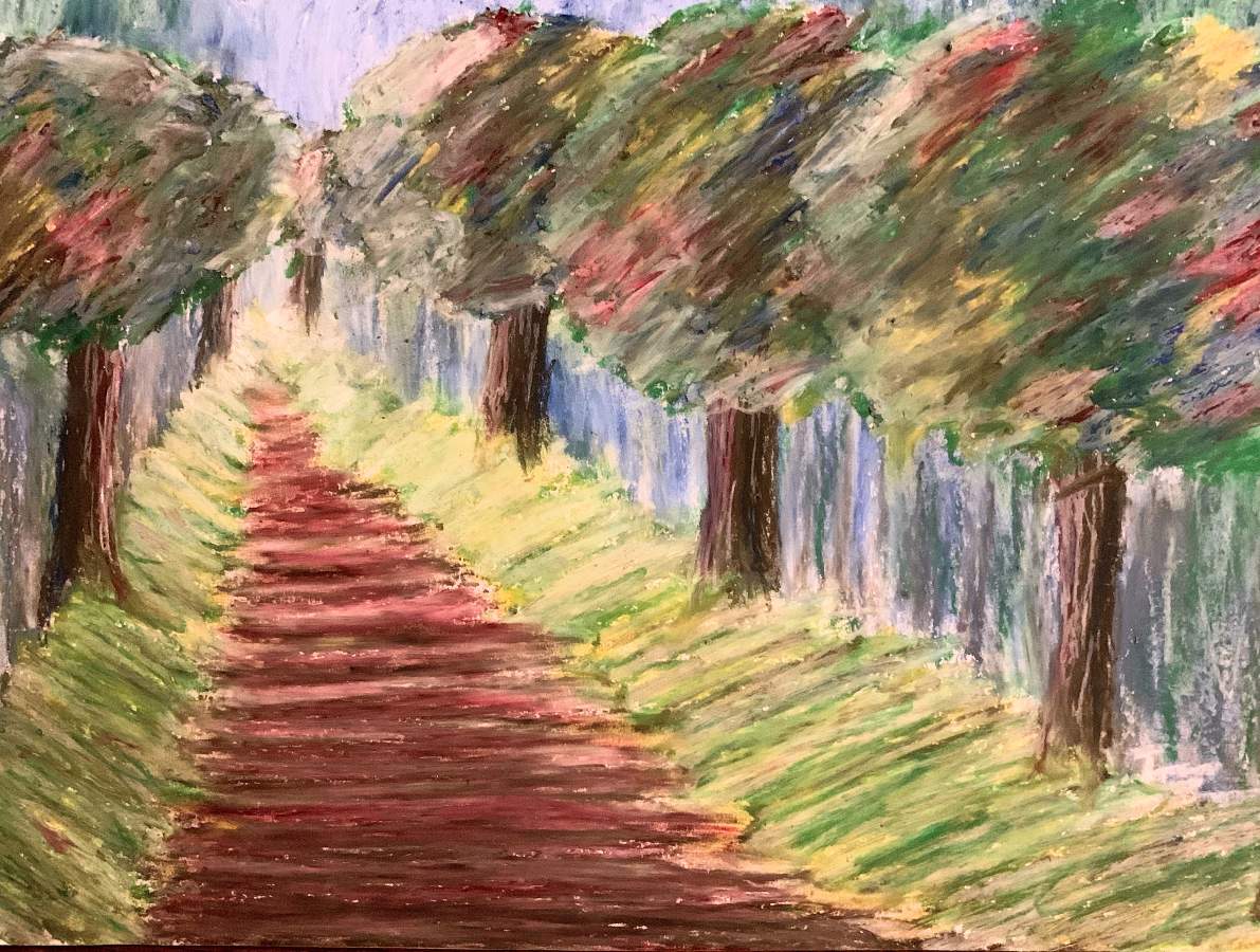 The Pathway of Trees