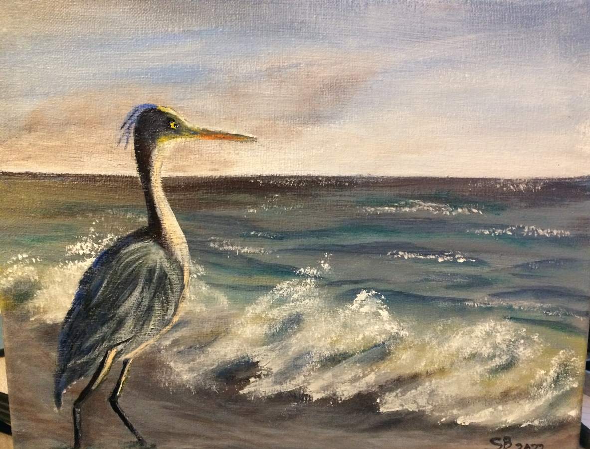 Blue Heron at the beach